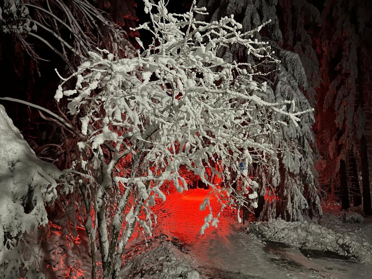 Waldhaus Hahnenklee Διαμέρισμα Γκόσλαρ Εξωτερικό φωτογραφία